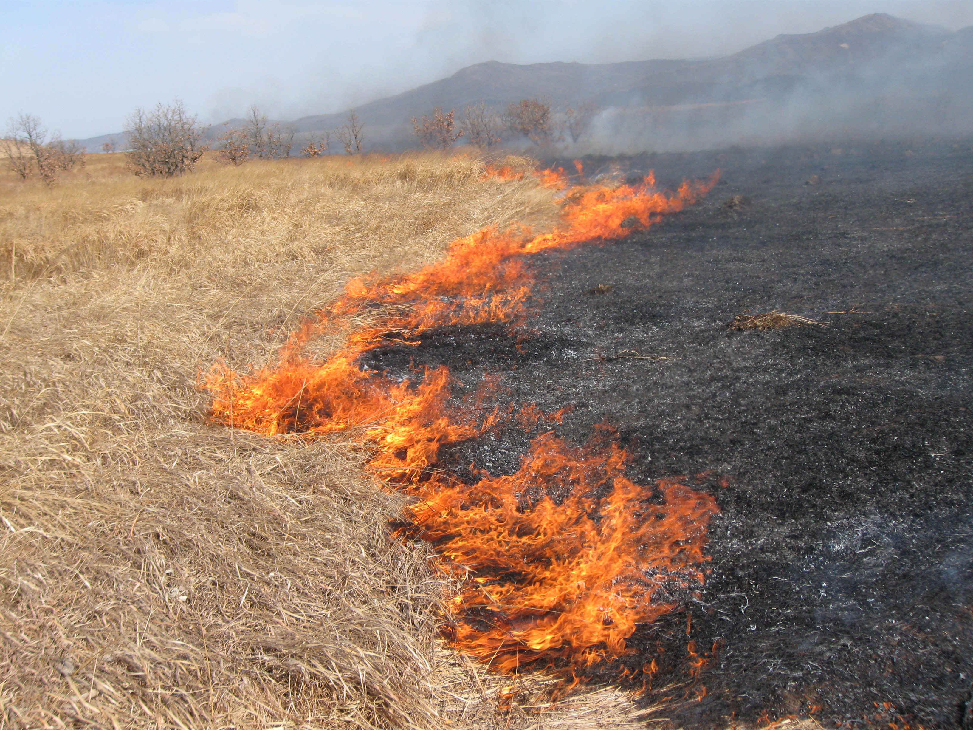 Bird lake area grassfires